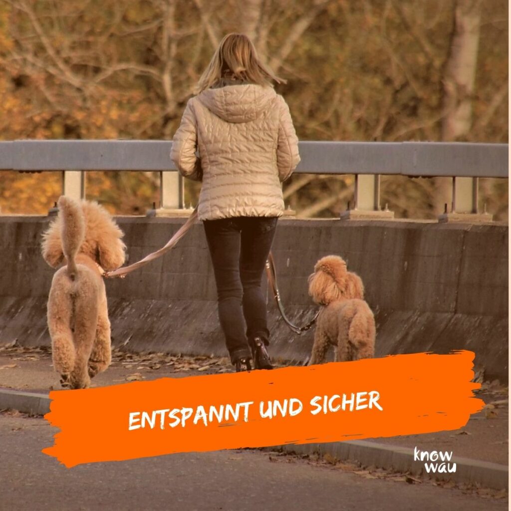 Entspannt und sicher an lockerer Leine auch mit 2 Hunden unterwegs