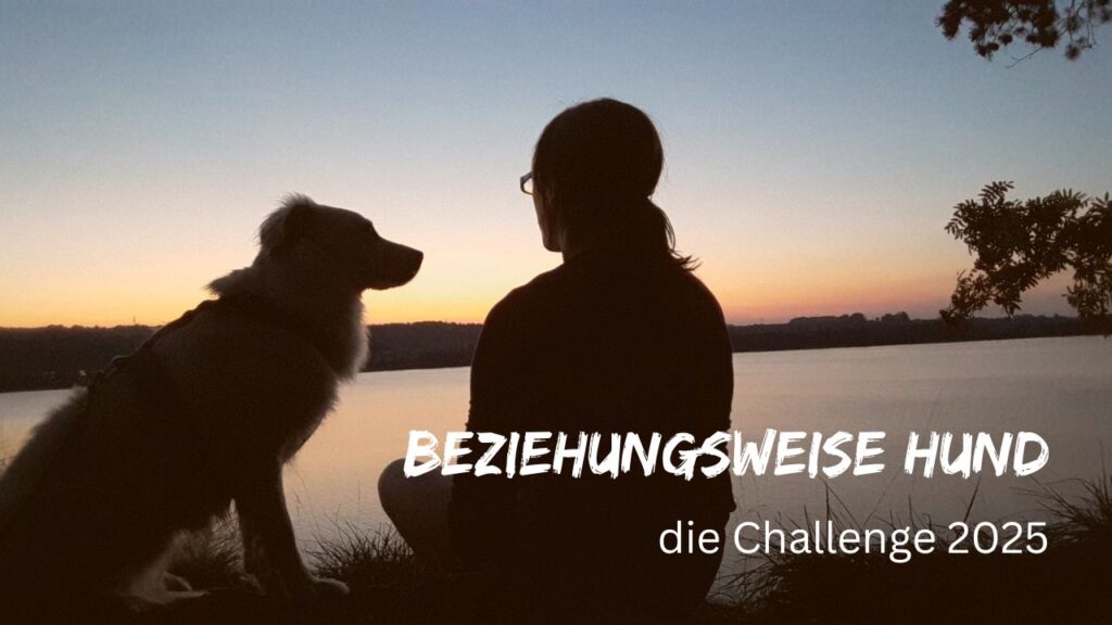 beziehungsweise Hund, die Challenge für besondere Momente mit Ihrem Hund Starten Sie „beziehungsorientiert“ ins Neue Jahr und beginnen Sie 2025 mit unseren Impulsen für das Mensch-Hund-Traumteam.