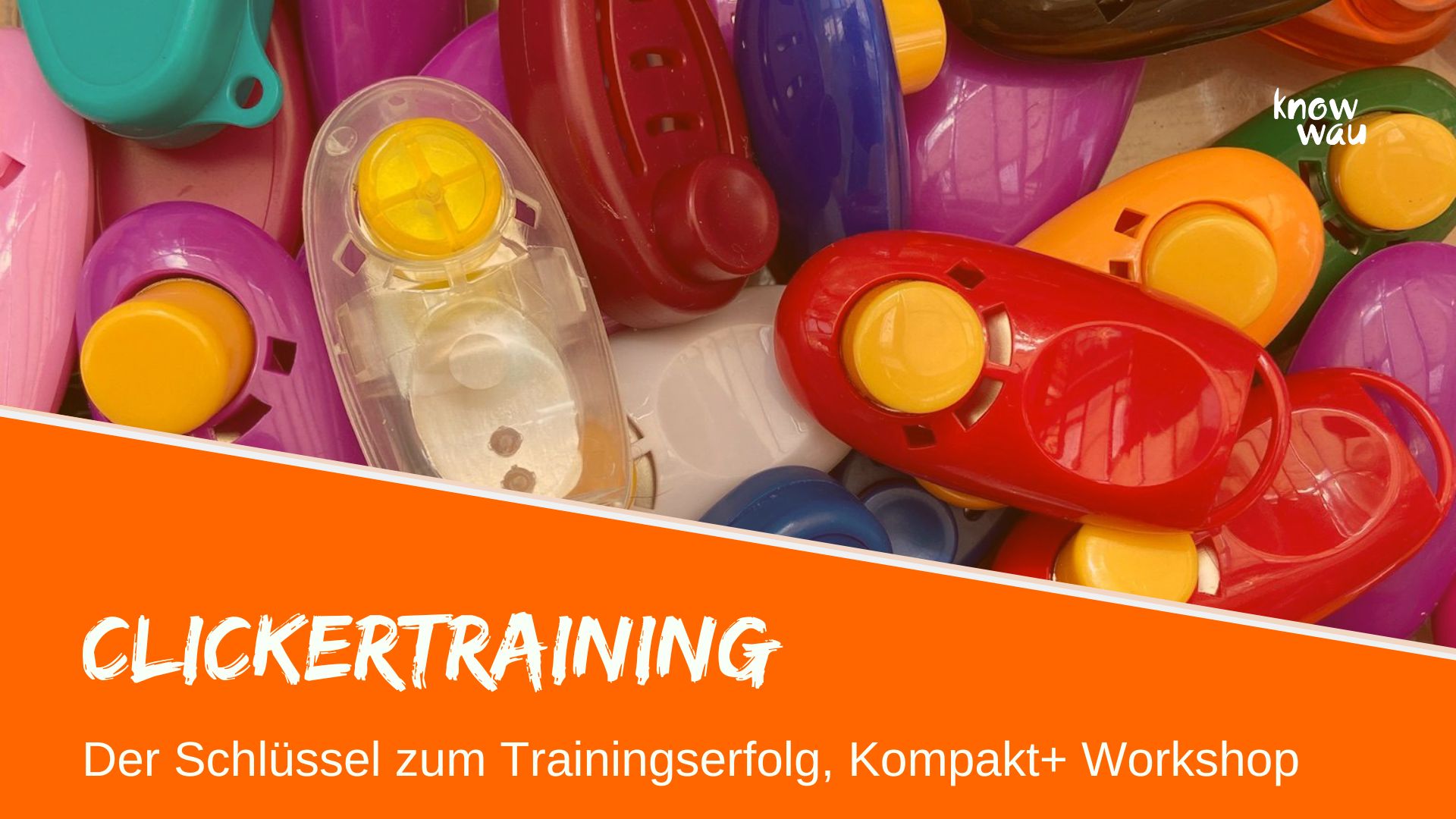 Clickertraining für Hunde – Der Schlüssel zum Trainingserfolg