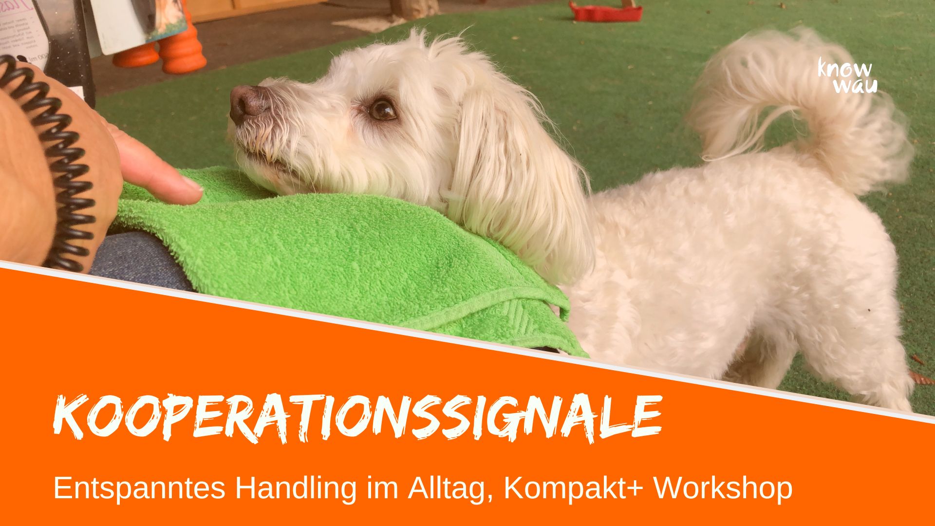 Kooperationssignale für entspanntes Handling im Alltag